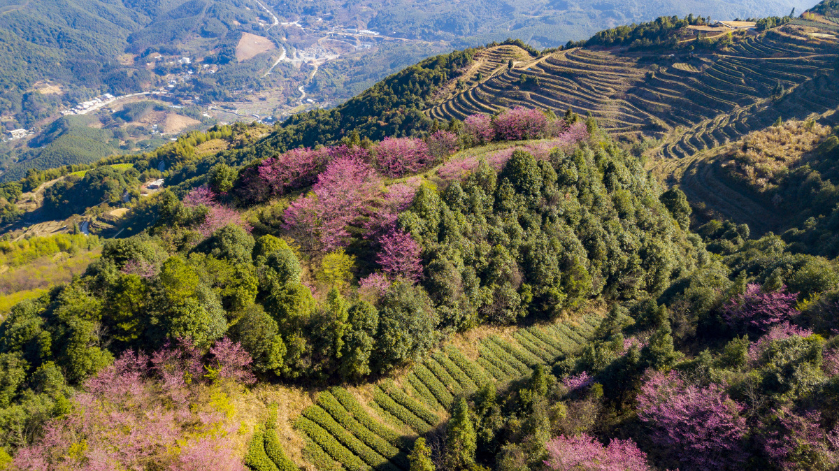 广东梅州明山嶂