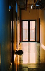 D7677C31-26E2-4EFB-BD64-8374E2EA76A3/L0/001