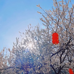 76BD3B1C-430C-4F4A-9983-F02B3C9477B9/L0/001
