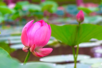 95089BA2-E0A5-4E95-A199-F7BBB8441A82/L0/001