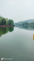 1000011031
