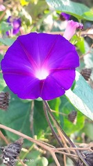 IMG20240923082853