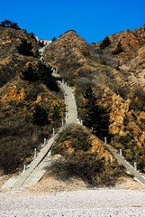 峰山林海人字梯