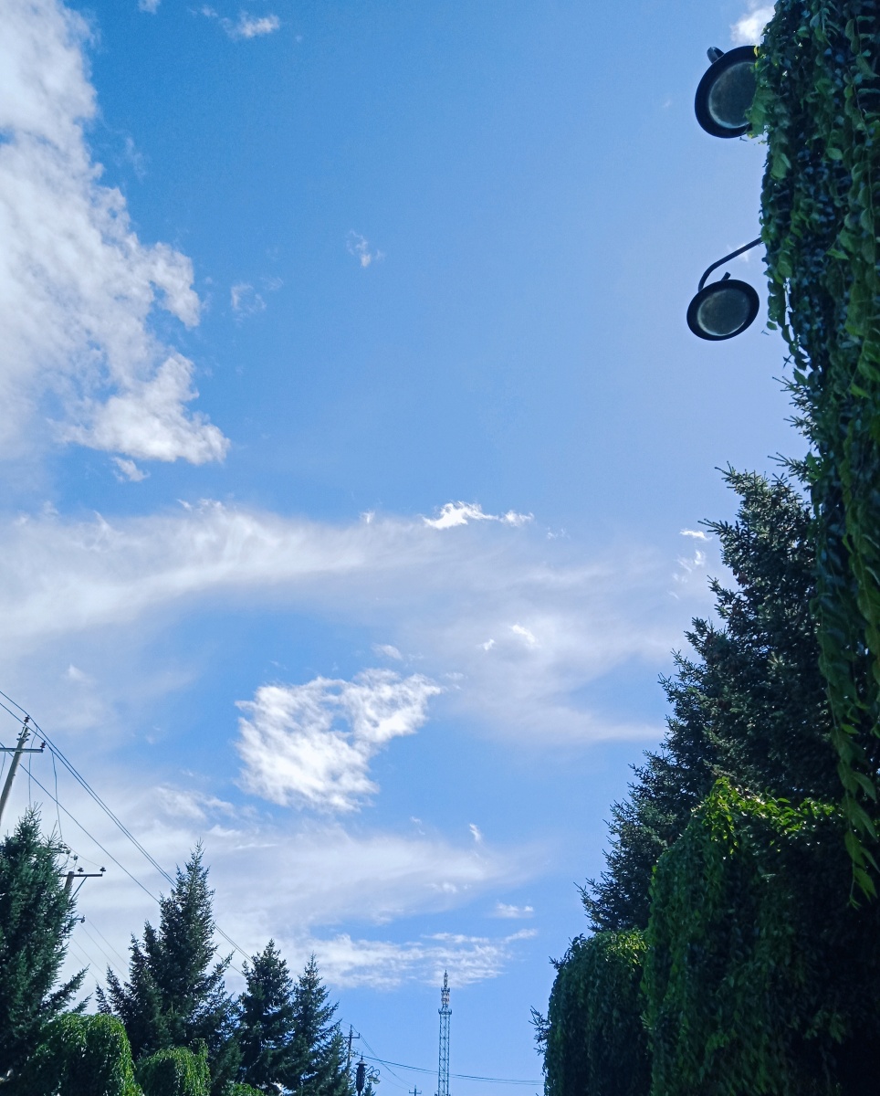 天气晴朗心情愉悦