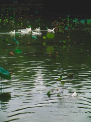 3200875