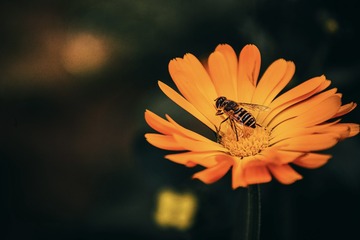 622ED589-36E3-44A1-9F5E-F530C6D8297F/L0/001