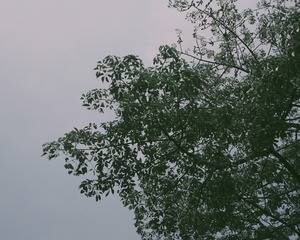 25783