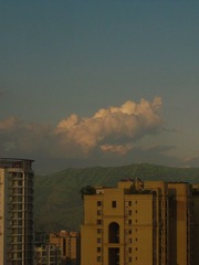 A627733E-0133-4E83-A233-B36D01CBE2C1/L0/001