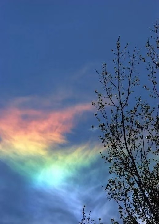 祥云你踏七彩祥云而来披了一点霞光我历四季山河而来只因你眼中的光