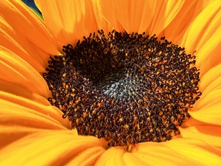 27AB5C9E-D6B4-4B26-A97D-F7B725591AD7/L0/001