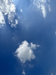 77E3D174-5464-44D5-8E1E-1D1DA45151E4/L0/001