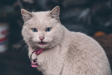 139427