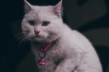 139426