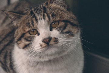 139424