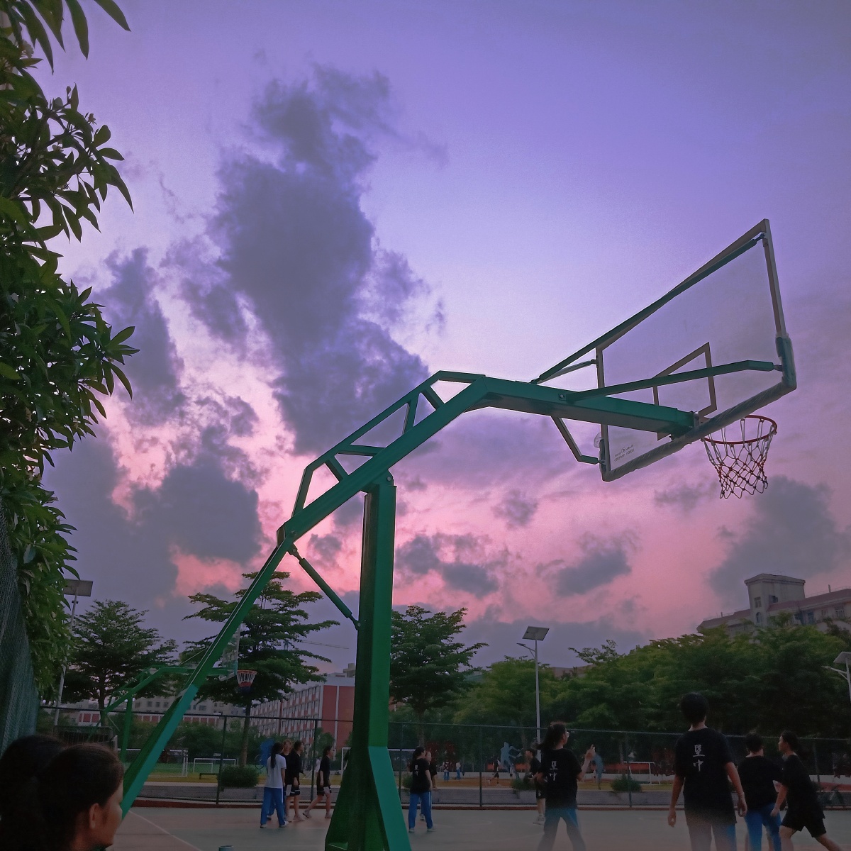 黄昏的篮球热血