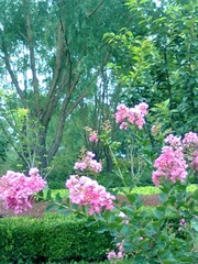 6BCF2BB7-1122-45BE-9444-4B02338B578E/L0/001