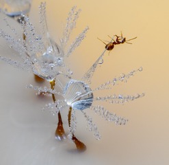 P5283361