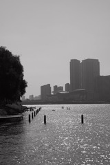 EF1B009C-EECC-490C-828D-BB74D8D538EF/L0/001