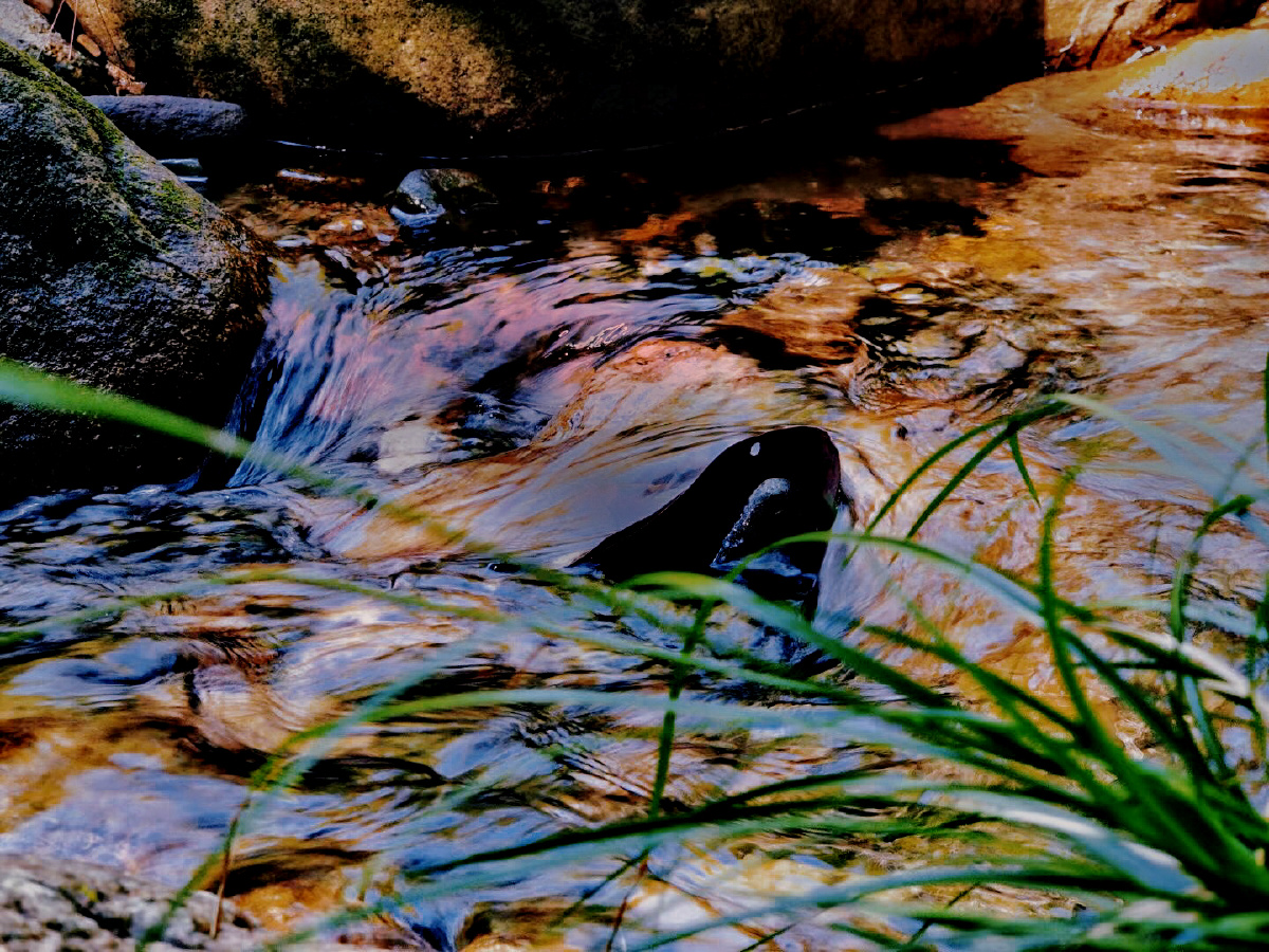 春风拂面轻装踏青偶遇山涧清泉一股水帘绝壁而下