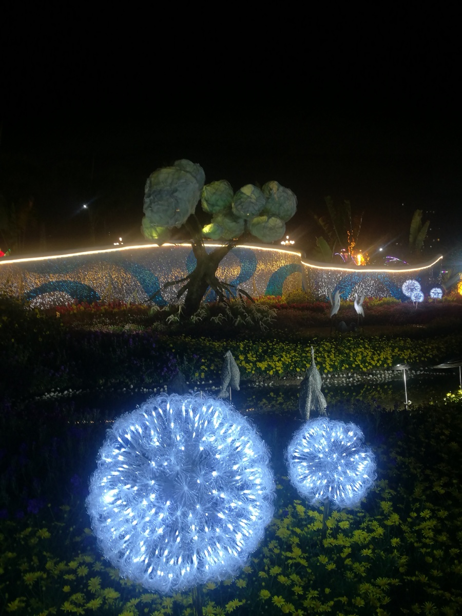 茂名市站南公园.