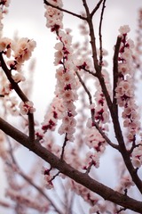 3E5B144A-117E-4B97-AF51-D38D8AA7D609/L0/001