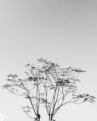 1000041750