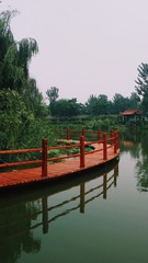 9F745ED6-19F9-4B2C-85EA-DDAA70C7989C/L0/001