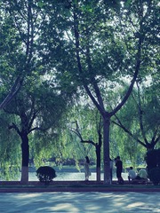 4C4A3F5E-3A6D-4F32-AAB4-8271C420726A/L0/001