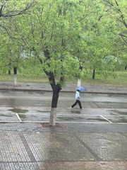 389C04B7-2044-4E44-9A1A-351789624294/L0/001