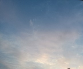 877556