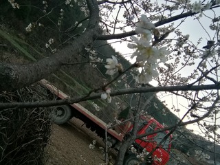 887402