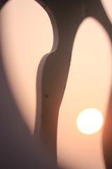 28A54209-9B37-4344-87B0-C732A951445B/L0/001