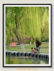 DA5035BF-56DC-48DF-BB16-33DA5C5742DC/L0/001