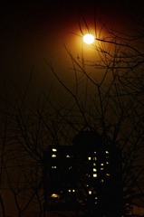 月夜
