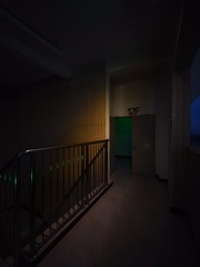 1000030736