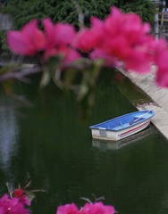 0661A8A1-49D3-45C3-A9AB-1BDA6EF3DCF2/L0/001