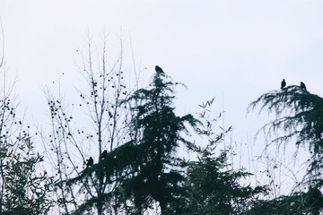 7D13E54C-B34F-4F69-890A-3D9840F53EC0/L0/001
