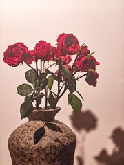 1000145092