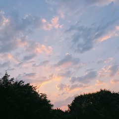 B7CC009C-94E5-4774-9223-B52521B99127/L0/001