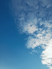 875