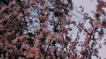 D894662D-2E25-474E-8B54-CB41F158E204/L0/001