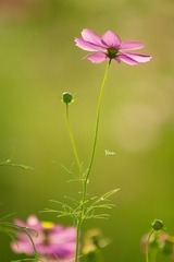 _MG_0157.jpg