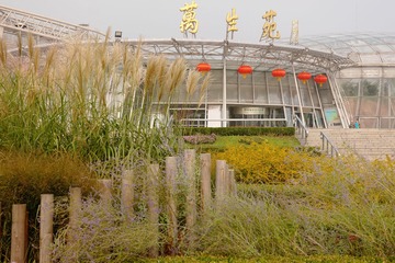 陈小猫和他的第一个朋友