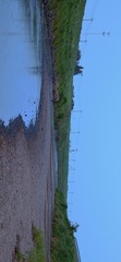 6928320E-83CE-40A3-9F5E-9DAF46F23B33/L0/001