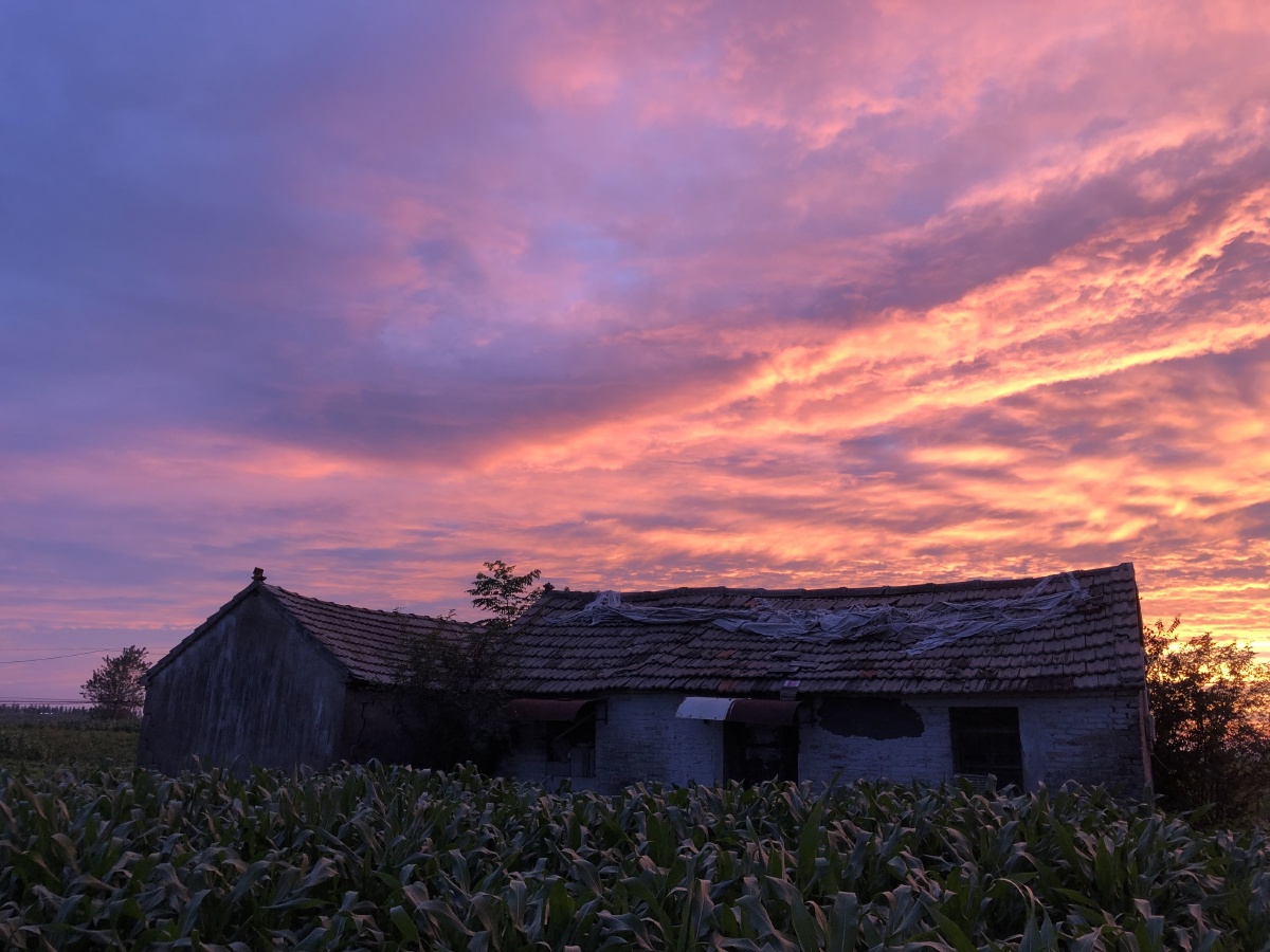 台风前的那天傍晚燃烧中的晚霞玉米地几间空房子