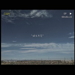 477591