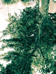 上海