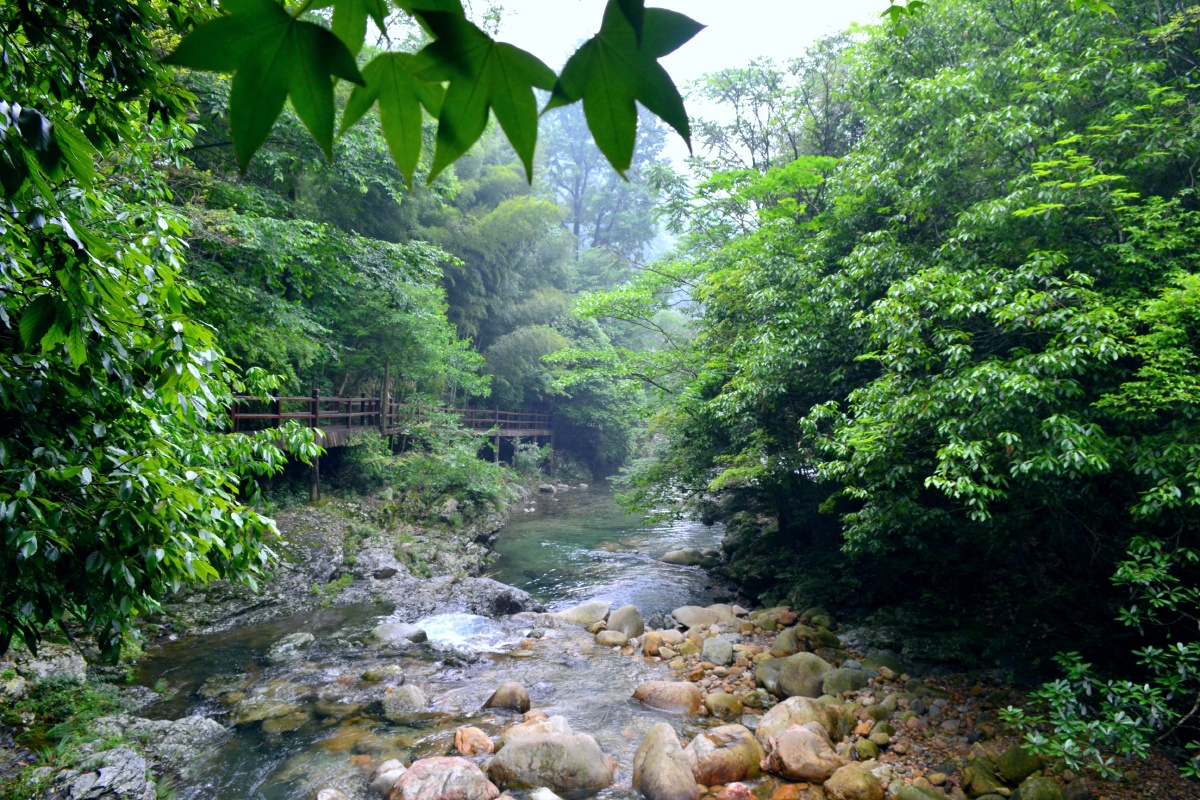 2014年祁门牯牛降随拍