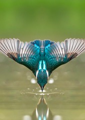 69F40394-A774-4B28-84E8-E992545ADCED/L0/001