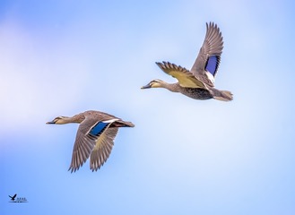 297B478C-478C-43B6-BA0A-AD05C00B8470/L0/001